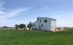 La Caseta De Panisello